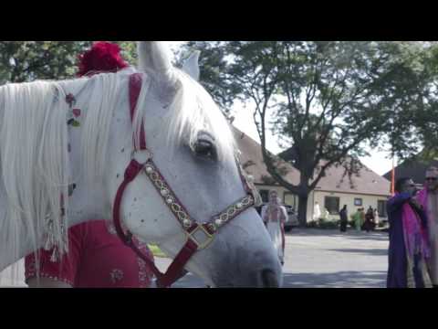 ARIA FILMS SEVINA SUNIL WEDDING SAME DAY EDIT CHICAGO