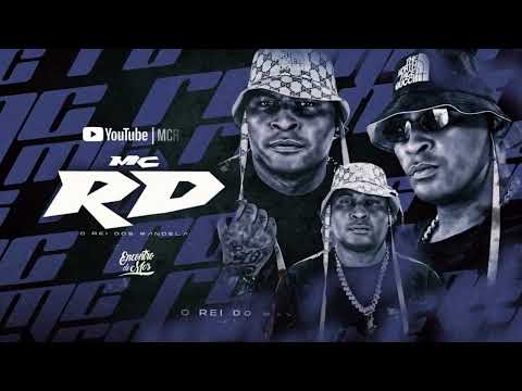 DESCE SOBE - MC DIOGUINHO DA JF E MC RD (MAAXDEEJAY) 2K25