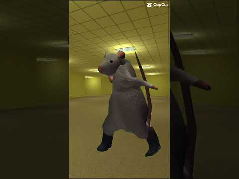 La danse du rat 🐀 🤣