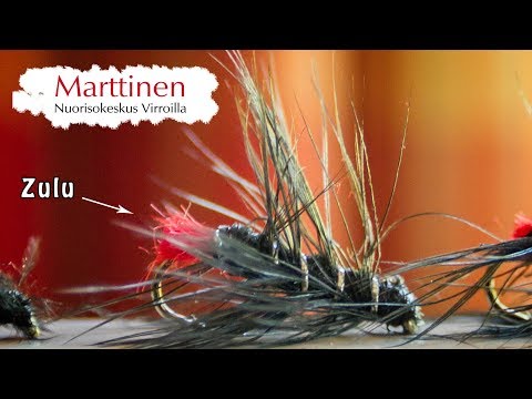 Peltsin eka Zulu-perho 🐜✂️  Harjoitellaan perhonsidontaa