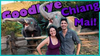 CHIANG MAI - Thailand - Elephants and more! (9/9)