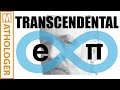 Transcendental numbers powered by Cantor's infinities