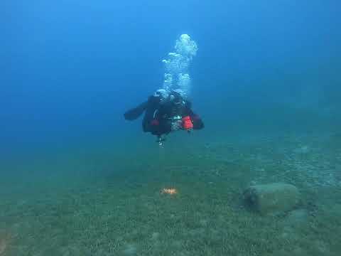 DSMB Practice after a GUE Fundies class.