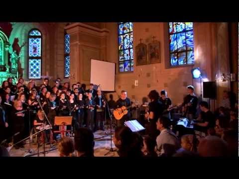 Tamne šume - Navještenje