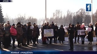 Охота на бездомных собак - 23.01.2017