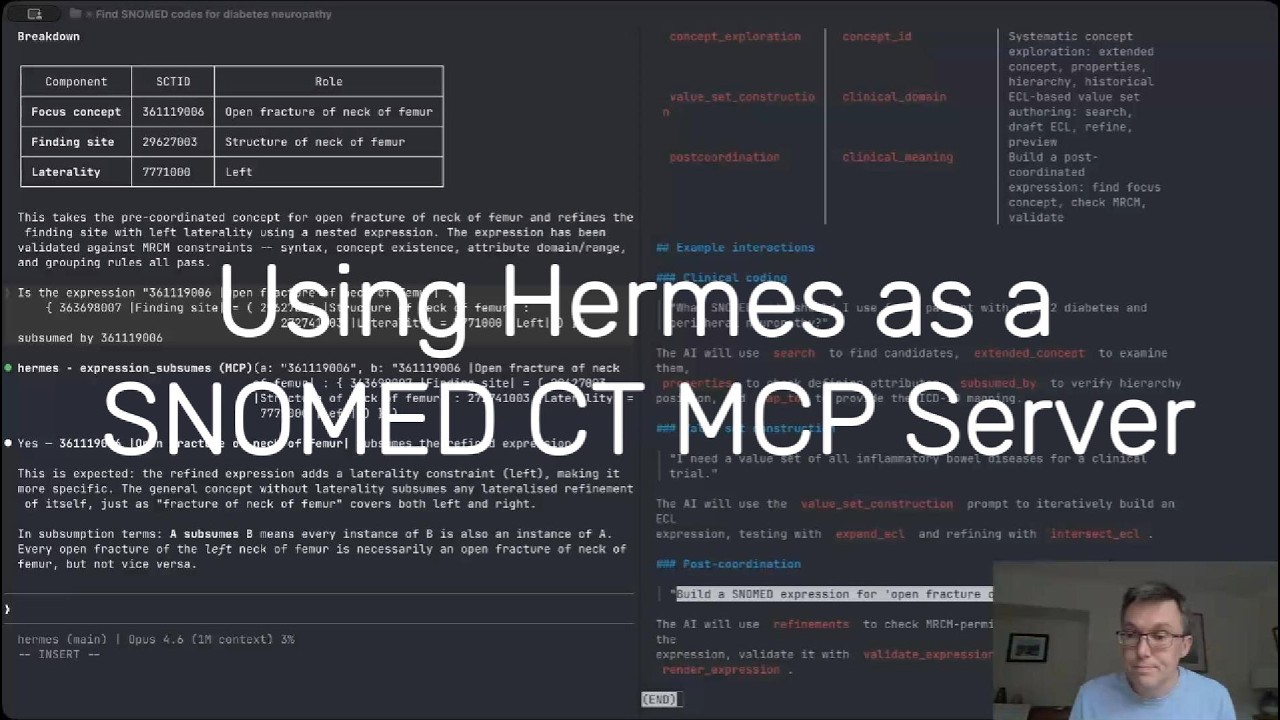 Using hermes as an MCP server