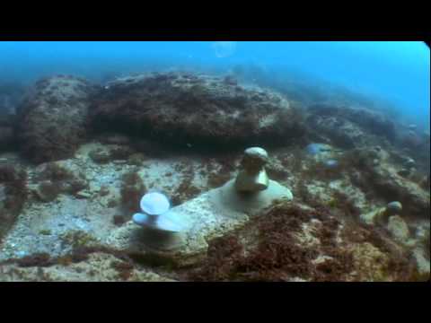 Die Krim: In den Tiefen des Schwarzen Meeres