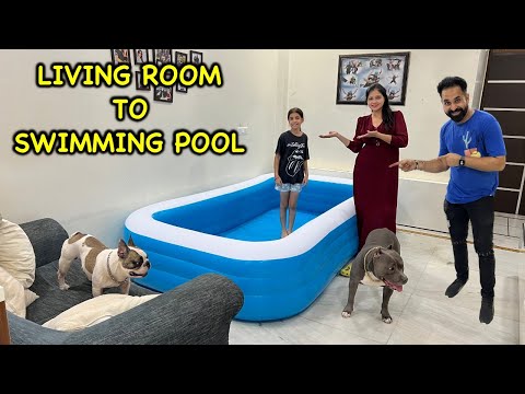 Living Room to Swimming Pool | Funny Dog Video