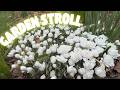 Garden Stroll An Exciting Plant Pile Update