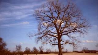 Rite Of Spring - The Legal Matters