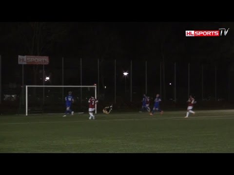 RW Moisling - 1. FC Phönix Lübeck I Verbandsliga I 20.11.2015