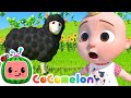 Baa Baa Black Sheep @Cocomelon - Nursery Rhymes | Sing Along With Me! | Moonbug Kids