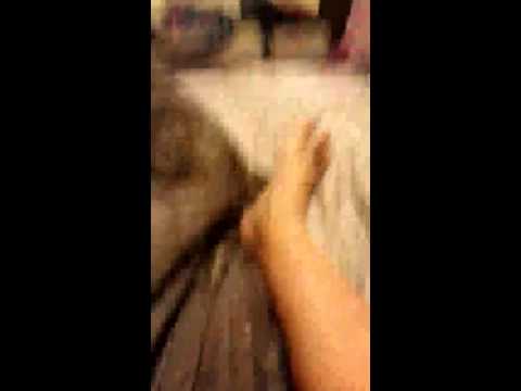 So lorena decides to push me off the bed