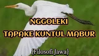 Download lagu ARTI MENCARI 'TAPAKE KUNTUL MABUR'. (SANEPAN JAWA) mp3