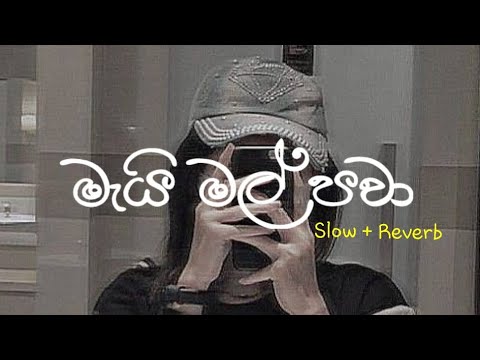 Mai Mal (මැයි මල්) | Visal Adare Movie | Yasas Madagedara | Slow + Reverb | @supunzstudio