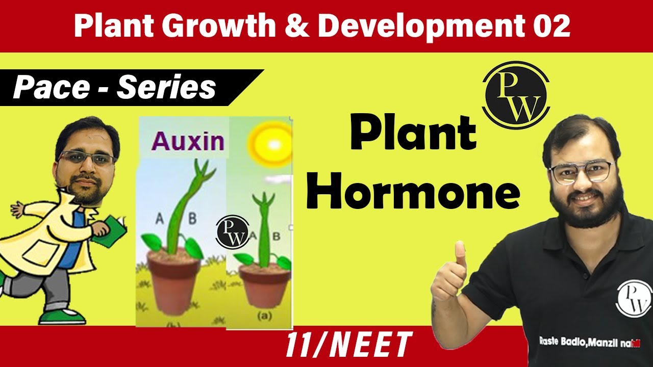 Plant Growth and Development 02 | Plant Hormones | Class 11 | NEET | Pace series
