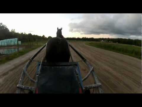 In The Sulky With... Remco Loman & Armbro Embellish