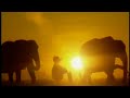 PBS Big Bird Promo 2019 V2