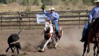 preview picture of video 'Roughstock2Roping 2009 Team Roping FINALS'