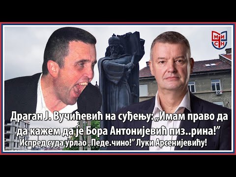 Драган Ј Вучићевић на суду „Имам право да кажем да је Бора Антонијевић пиз..рина” урлао и пред судом