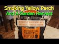 Video Thumbnail for Smoking Yellow Perch And A Garden Harvest