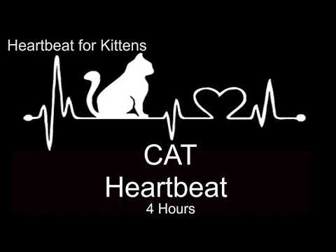 FOR THE KITTEN Heartbeat to sleep and soothe their anxiety