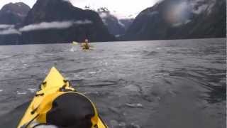 preview picture of video 'Dolphins and Kayaks, Milford Sound, New Zealand'