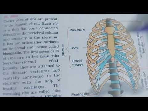 Inter 2nd year SYNAPTIC TRANSMISSION ZOOLOGY
