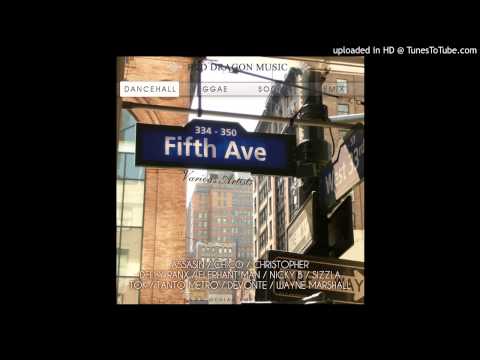 Dj Shakka - Fifth Avenue Riddim Mix - 2004