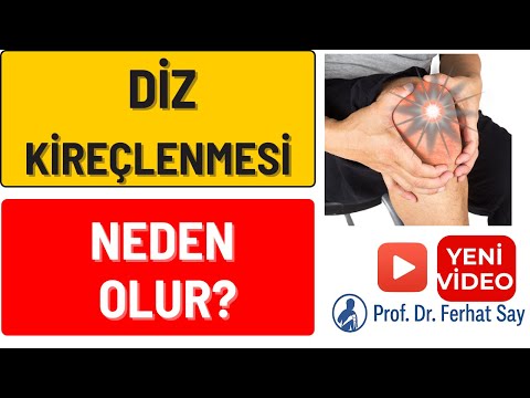 Ferhat Say-3