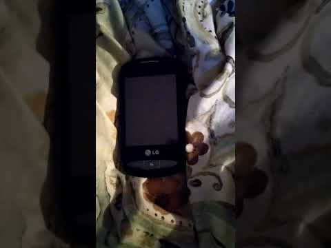 Cintex Wireless - Loaner cellphone not working