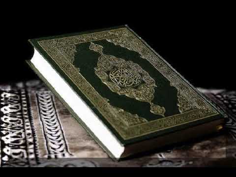 Rukja Kurs || 6. Ključna veza parazita i džina  - Liječenje od sihra i džinskih oboljenja