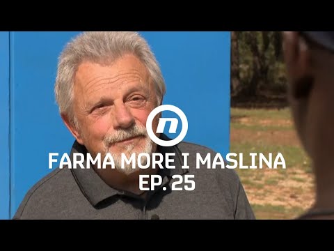 Trgovac, slika i 5000 vranaca - Epizoda 25 | Farma More i Maslina