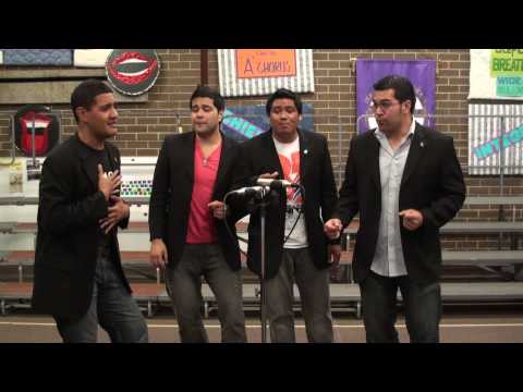 Musical Island Boys - Teddy Bear