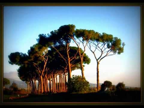 Ottorino Respighi: Pini di Roma, Enrique Mazzola / RNO