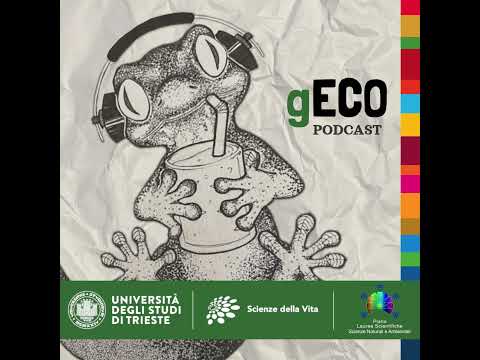 Insetti impollinatori: Un'ape fa primavera!