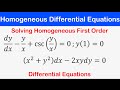 11a Homogeneous First Order Differential Equations Solved Examples