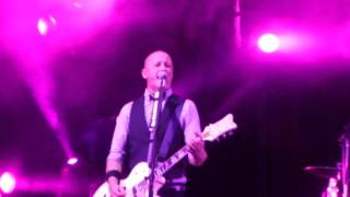 Man Alive - Diesel (Day on the Green)