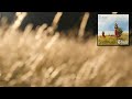 Ambient Music: Burzum - Solargudi | 1 Hour