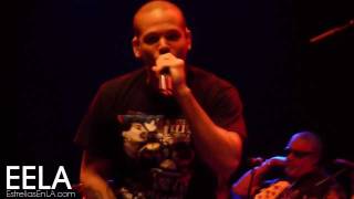 Calle 13 - Baile de Los Pobres (En Vivo)