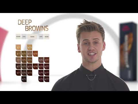 Discover the Shade Families from Koleston Perfect - Chapter 6