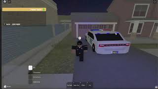 Raven Development progress so far