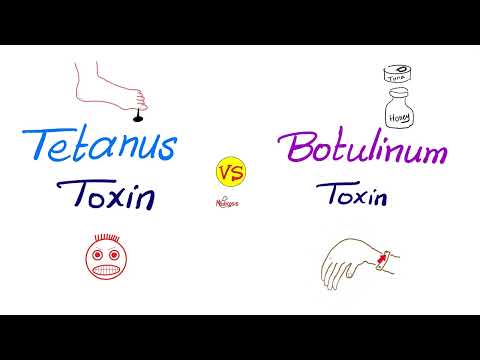 Tetanus Toxin vs Botulinum Toxin | Comparisons Series