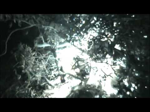 Spökraket: "Climb So High"