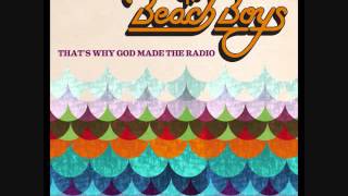 Isn&#39;t It Time - The Beach Boys