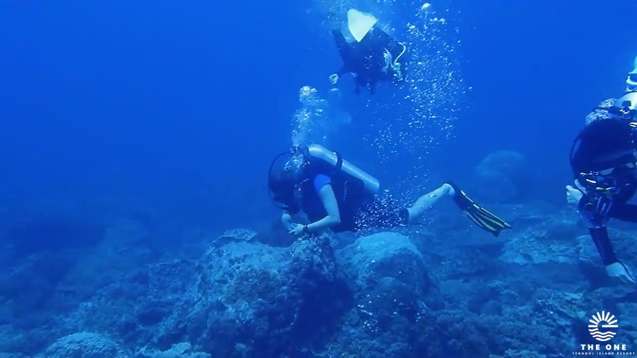 Fun Dive in Tenggol Island