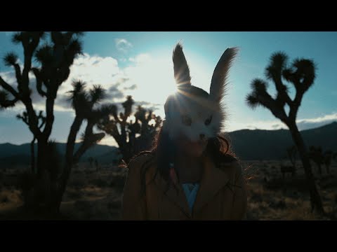Coyote  - Pi Jacobs Official Video