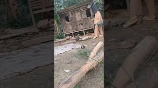 Download lagu A day in my life mp3 Download lagu A day in my life mp3