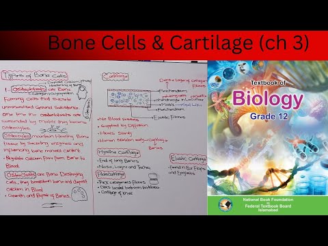 Types of Bone Cells | Cartilage | FBISE | NBF | Class 12
