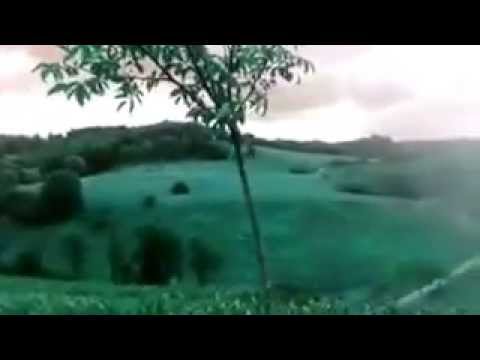 Landscape filmed in Boiu Mare Maramures Romania VID 20140628 WA0002